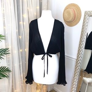 Urban Outfitters Sheer Pleated Crop Top